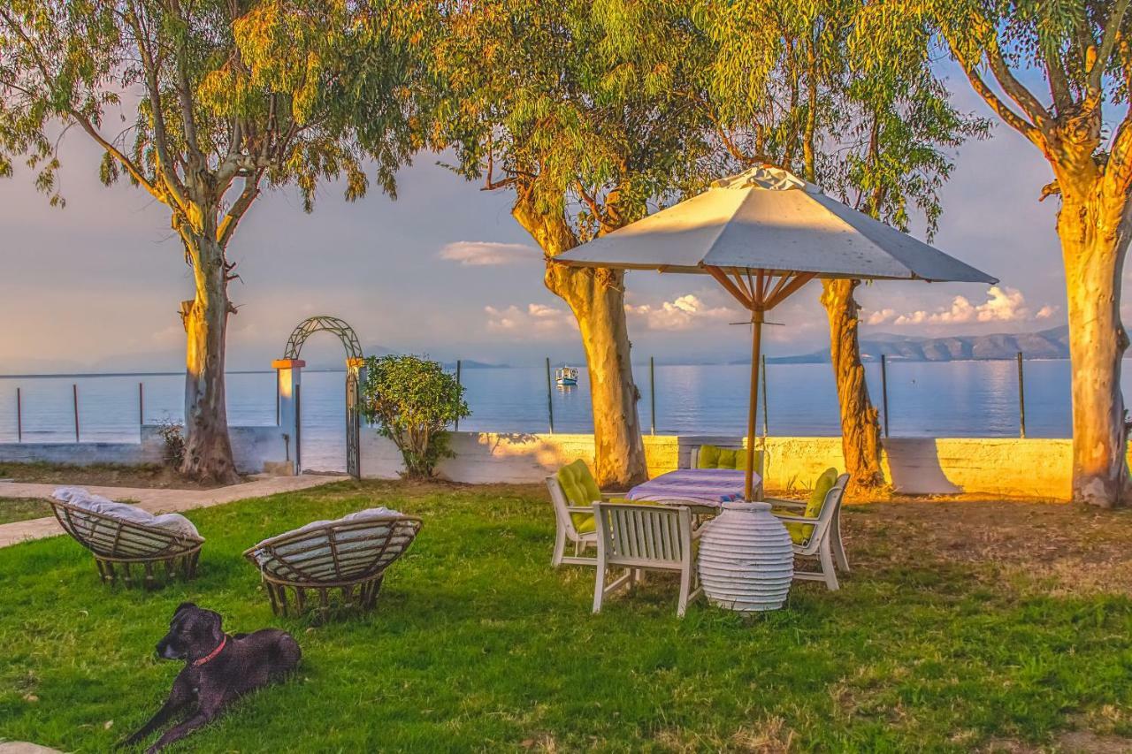 Lemami Seafront Bungalows Kávos Zewnętrze zdjęcie