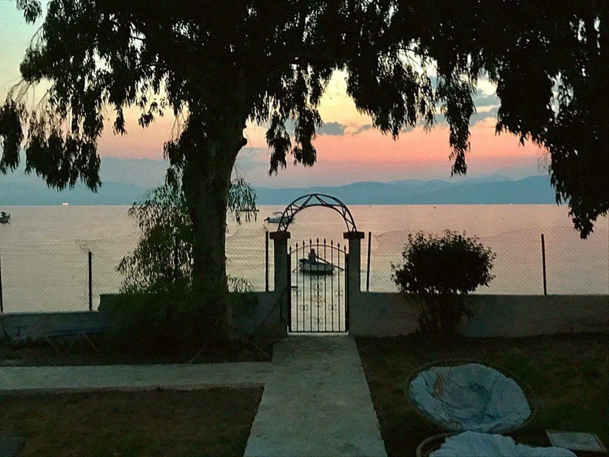 Lemami Seafront Bungalows Kávos Zewnętrze zdjęcie